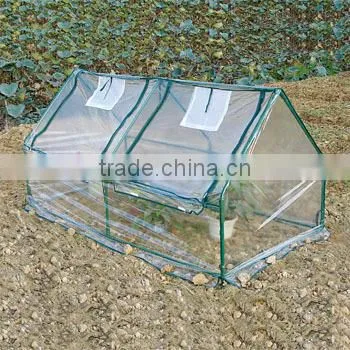 Transparent Walk in Garden Used Greenhouses for Vegetables