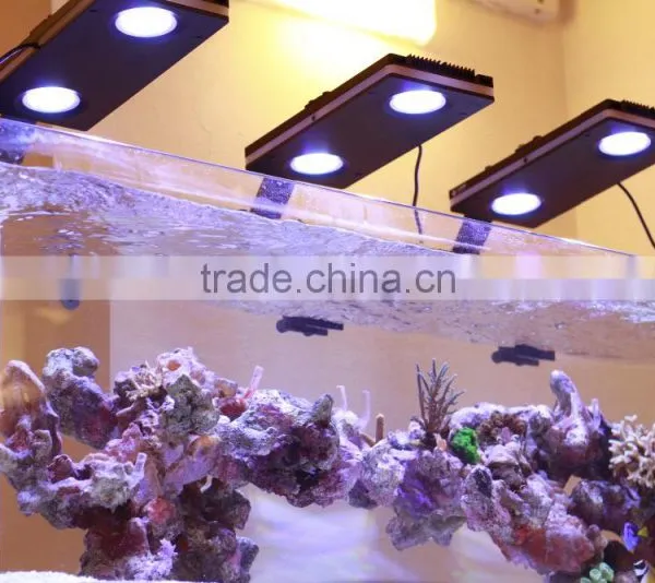 Hot Selling Programmable Full Spectrum Sunrise and Sunset Coral Reef Used Led Aquarium Light photo-6