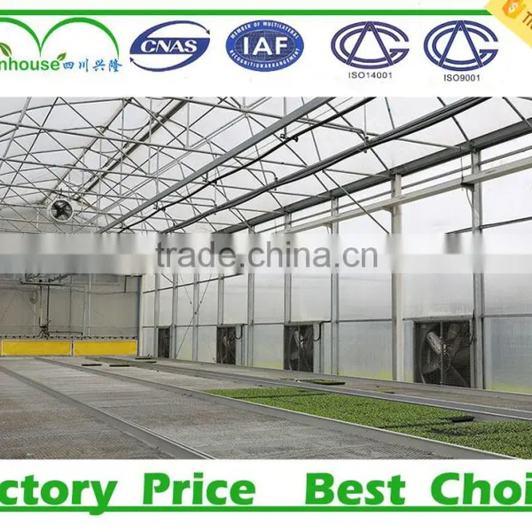 Large Size and Double Layer Inflation Film Multi Span Commercial Prefabricated Greenhouse photo-3