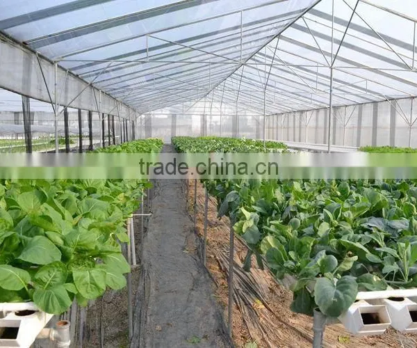 PVC Hydroponics Square Tube Industrial Hydroponic System photo-3