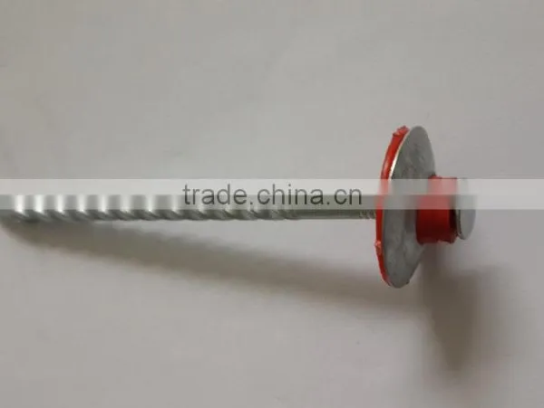 2017 Steel / Iron Nail Factory Offer 2017 photo-2