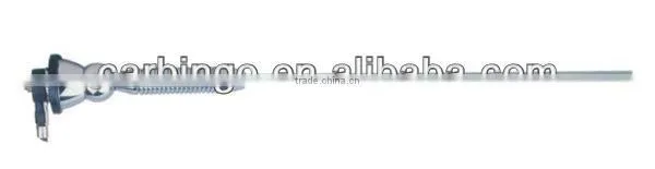 FM/AM Radio Car Antenna