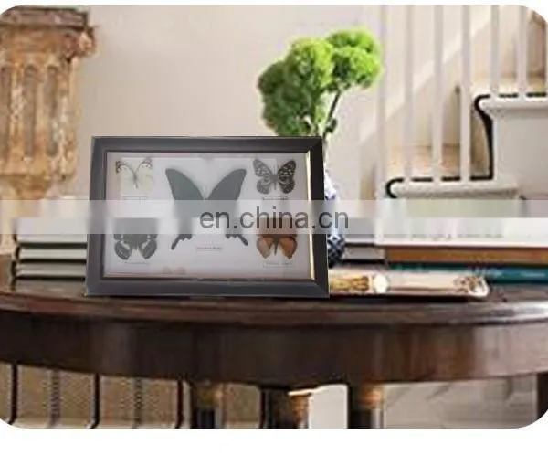 Butterfly Framed 15*25cm Butterfly Specimens Frame