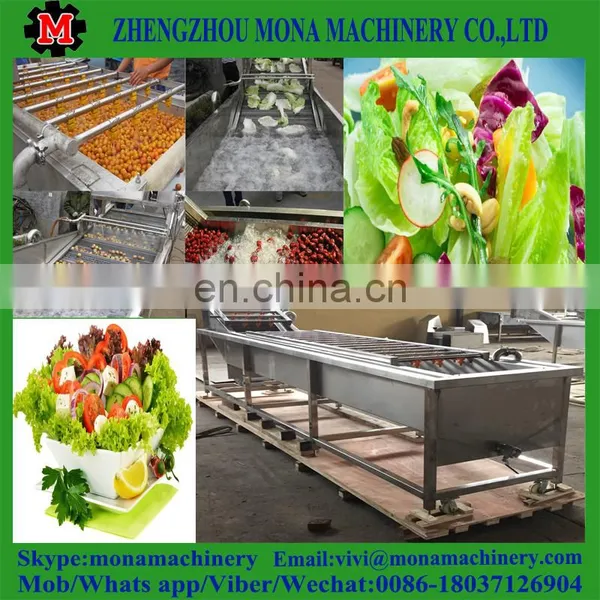 Ozone Sterilizing Vegetable Washing Machine / Bubble Fruit Washing Machine photo-4