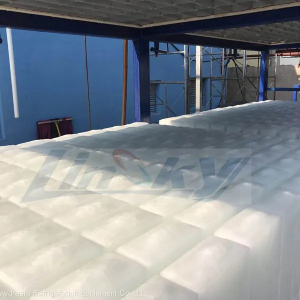 Automatic 10Ton/24hr Block Ice Machine photo-3