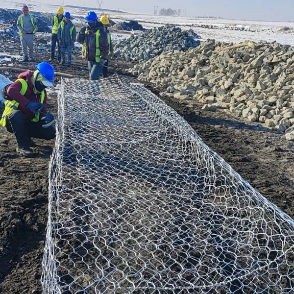 Wholesale Galvanized Hexagon Mesh Gabion Basket PVC Coating Gabion Box for River Bank photo-5