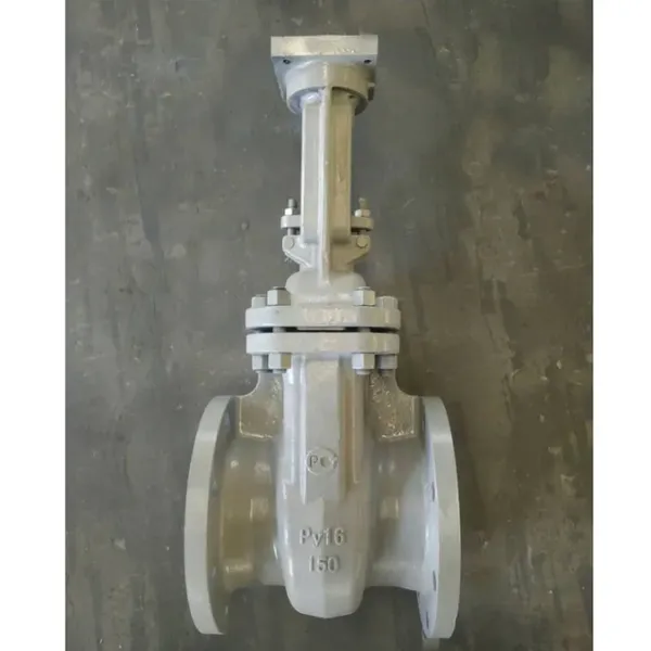 China Factory GOST WCB Cast Steel Z41H-16C PN16 Carbon Steel Flange Non Rising Stem Wedge Gate Valve photo-5
