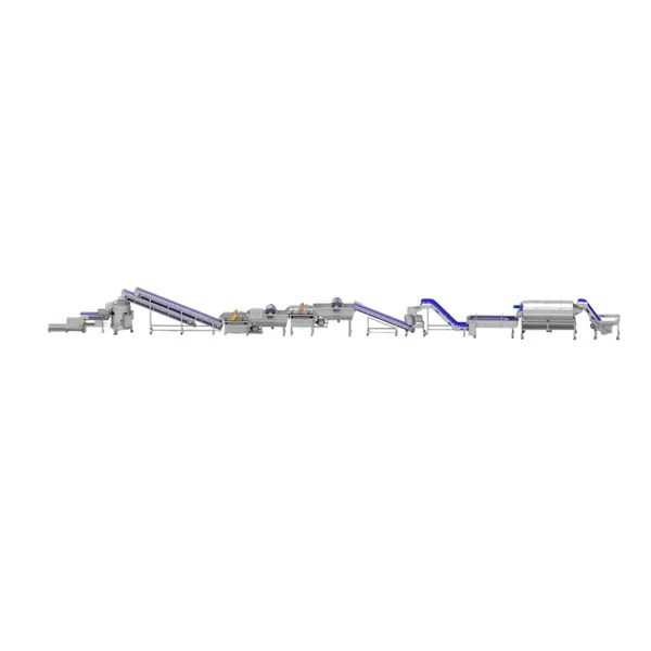31m Rhizome Processing Line for Food & Pharmaceutical Applications