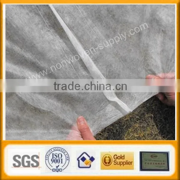 Non Woven Weed Control Cover Supplier photo-2