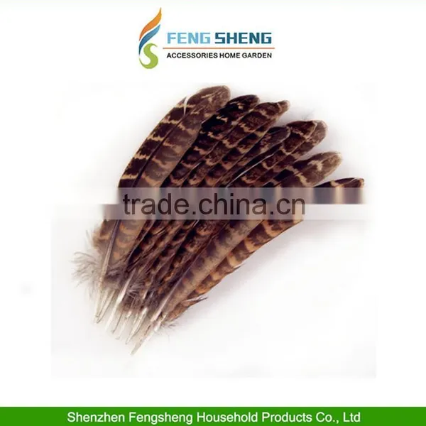 Wholesale Beautiful Natural Pheasant Feathers Fringe Craft All Wedding Favor Craft Trimmings photo-3