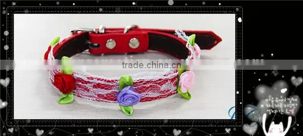 Most POpular Remote Dog Training Collar Pet Slip Collar Leash With High Quality