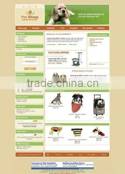 Website Design Brochure Design, Catalog Design, Ad Design-Graphic Design Ecommerce Website Design and Development photo-4