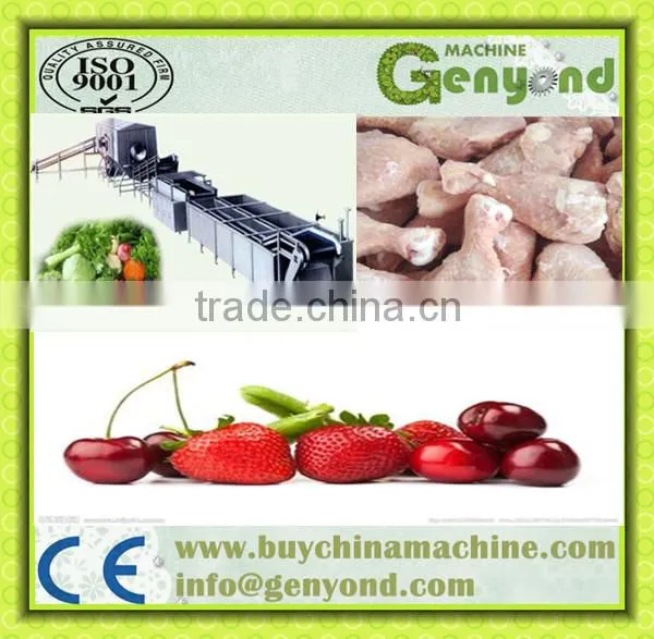 IQF Quick Freezing Sea Cucumber / Seafood Frozen Machinery / Blast Freezer Tunnel Machine