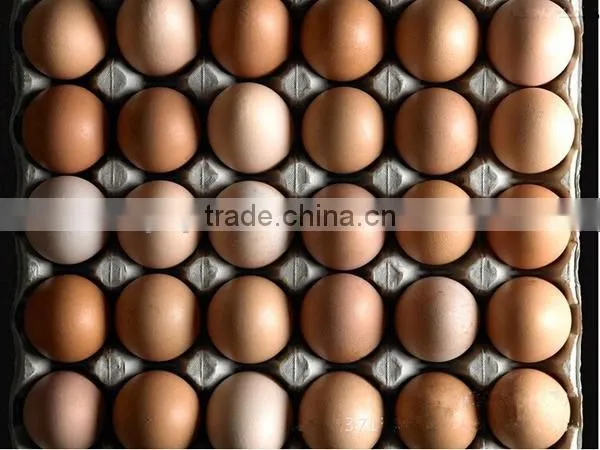 30 Eco-friendly Paper Pulp Egg Tray