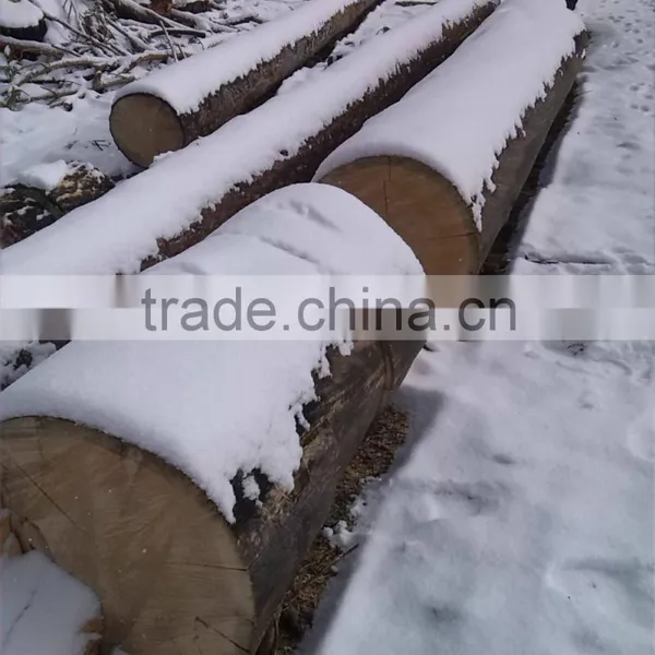 High Quality Birch Logs photo-6
