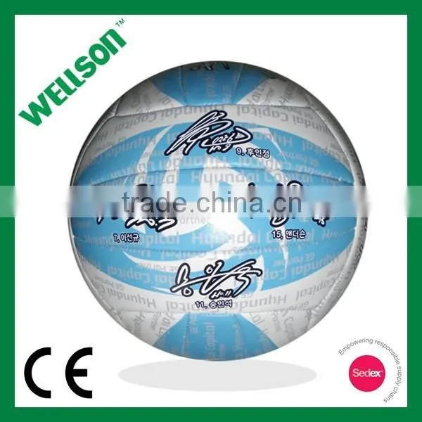 Signature Volleyball for Fans photo-2