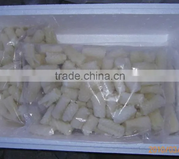 Frozen Squid photo-6