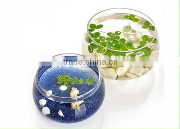 China Suppler Factory Price High Transparent Acrylic Material Fish Tank photo-2
