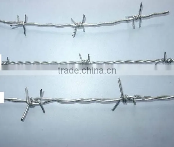 Hot Galvanized Barbed Wire / Barbed Wire photo-3