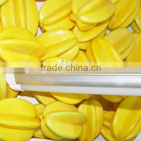 T5 Led Tube Light With Fixture