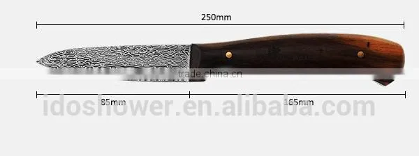 Hot Damast Vegetable Knife, High Quanlity Knife Kitchen Japan photo-3