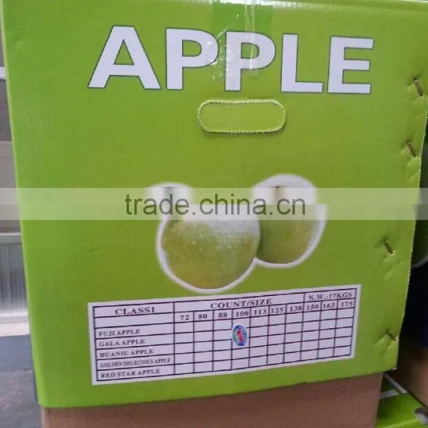 New Crop 2015 Delicious Golden Apple photo-5