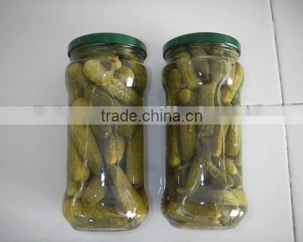 Canned Pickled Cucumber in Vinegar