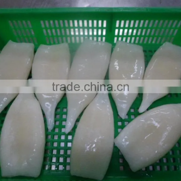 Frozen Squid Tube Fish U5 photo-2