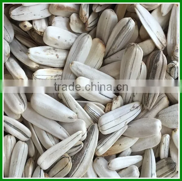 Roasted White Sunflower Seeds With Spices Taste For Human Consumption