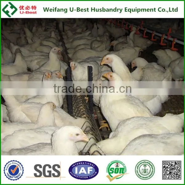 U-BEST Full Automatic Poultry Equipment for Breeder Chicken photo-5