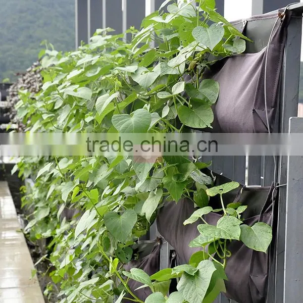 Supply Wall Planting Bag Vertical Garden Hanging Planter