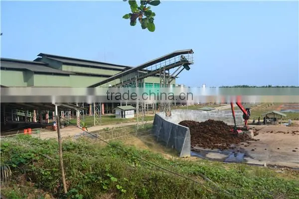 Palm Oil Extractor/Oil Seed Press for Sale photo-5