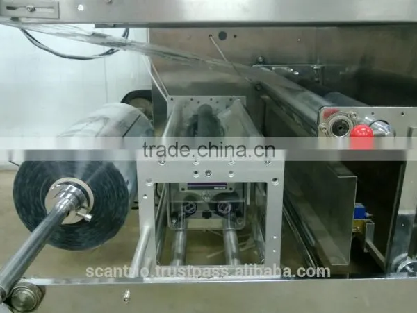 Automatic Fresh Vegetable, Whole Salad Packing Machine. photo-2