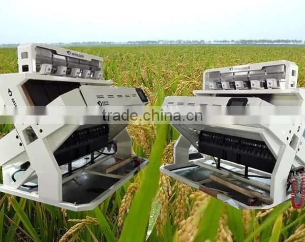 Color Sorting Machine,High Purity RiceColor Sorting Machine, Rice, Beans, Cereal, Nuts Color Sorter photo-4