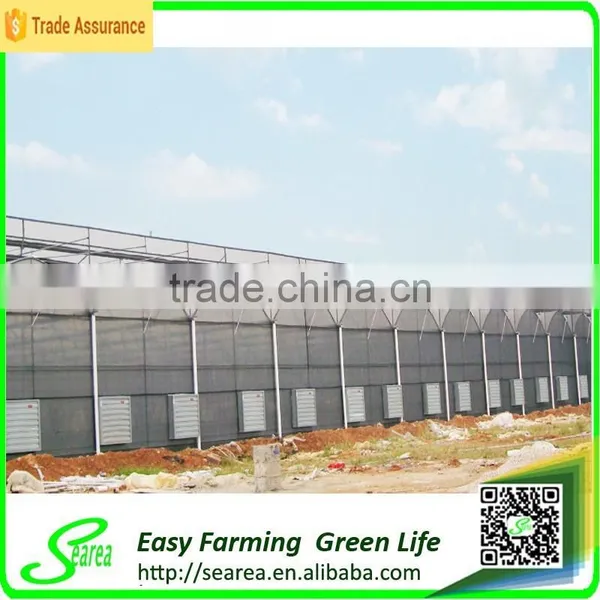 Commercial Greenhouse for Sale photo-3