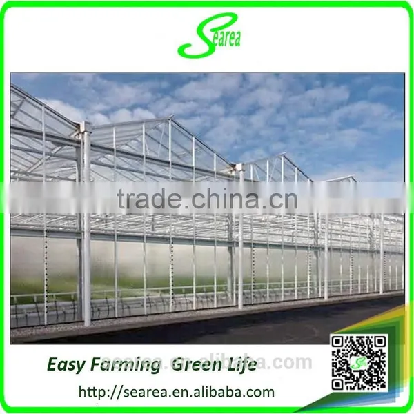 Venlo Greenhouse With Alternating Vents photo-4