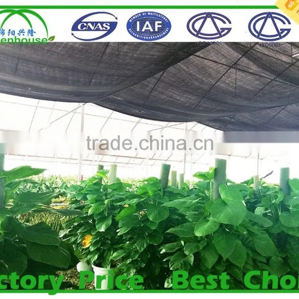 Vegetable Growing Intelligent Glass Greenhouse photo-6