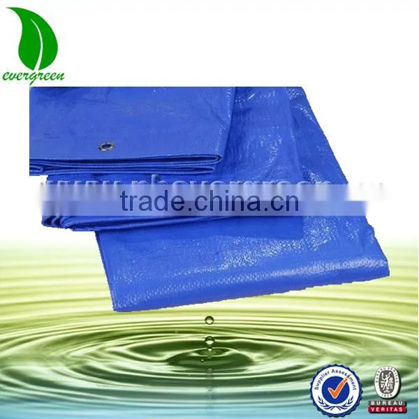 Plastic Weave Water Proof Tarpaulin for Irrigation photo-2