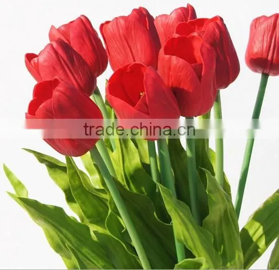 PU Dutch Tulip photo-2