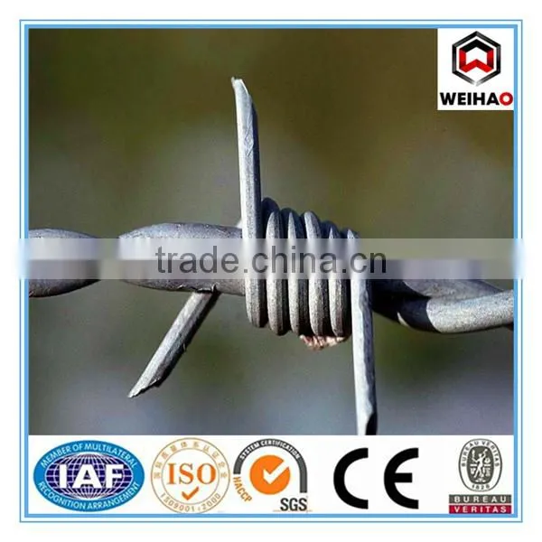 Anping Wei Hao Provide Galvanized Barbed Wire/PVC Barbed Wire photo-2
