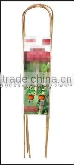 U-hoop Bamboo Poles Baoboo Canes for Agriculture photo-6
