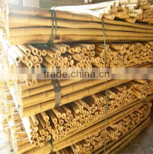 Wholesale Bamboo Poles /bamboo Canes