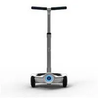 Chic Fairy Electric Mobility 2 Wheel Balance Scooter With Handle Bar