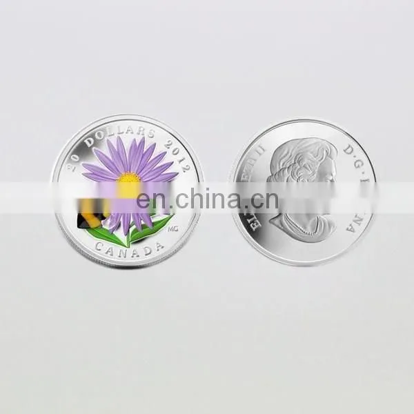 Metal Material and Painted Technique High Quality Foreign Military Challenge Coins photo-4