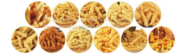 Automatic Corn Curls Kurkure Processing Line photo-4