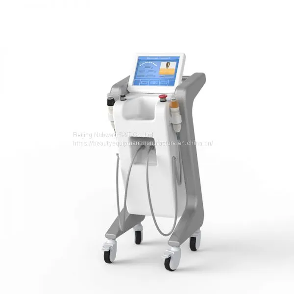 2020 Most Popular Best Wrinkle Removal Scarlet Beauty Salon Equipment Microneedle Fractional RF photo-3
