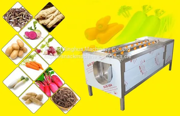 Working Principle Of Fruit And Vegetable Brush Washing Machine Manufacturing Process photo-4