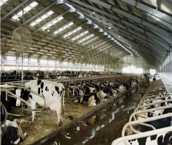 Portal Steel Structure Breeding Shed photo-5