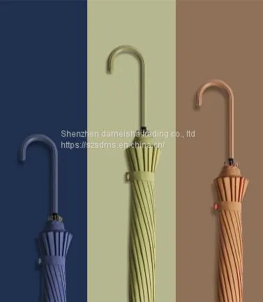 Bone Long Handle Sunshade