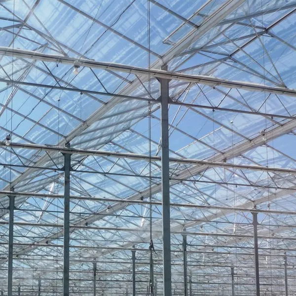 4mm Tempered Low Iron Glass for Sun Room and Green House